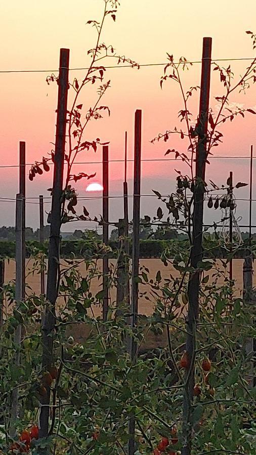 B&B Al Vecio Morer San Donà di Piave Zewnętrze zdjęcie