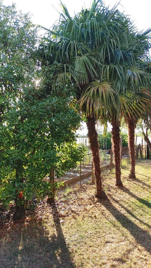 B&B Al Vecio Morer San Donà di Piave Zewnętrze zdjęcie